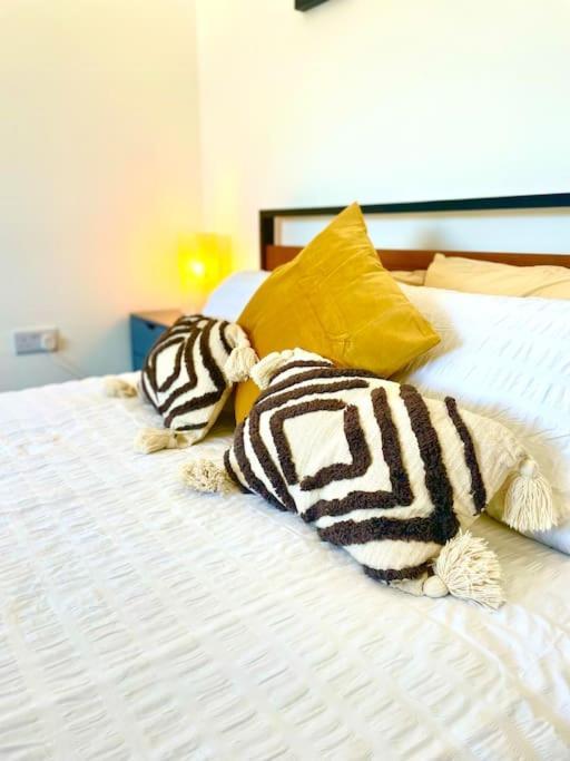 Modern Chic Summer Holiday Retreat. New Quay Eksteriør bilde