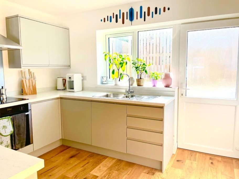 Modern Chic Summer Holiday Retreat. New Quay Eksteriør bilde